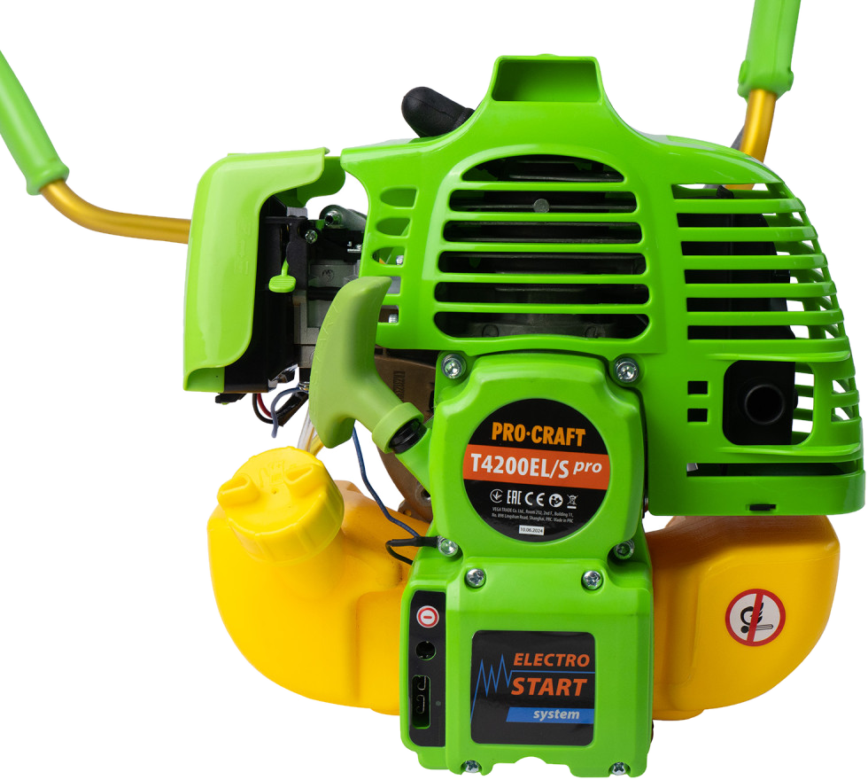 Мотор Procraft T4200EL/S